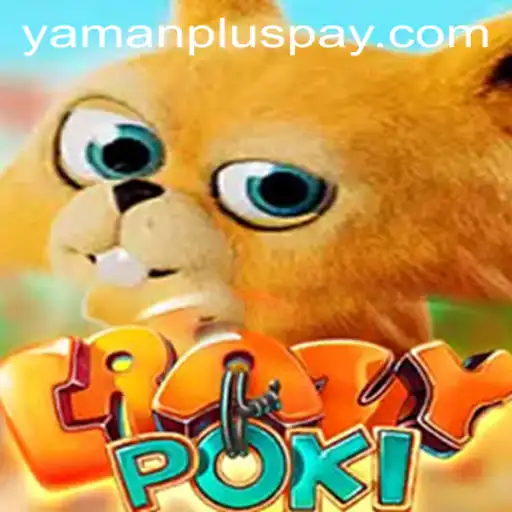 CrazyPoki: An Exciting Adventure Awaits