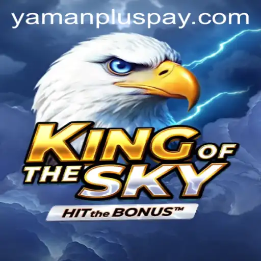 An In-Depth Look at KingOfTheSky: Navigating the Digital Horizon