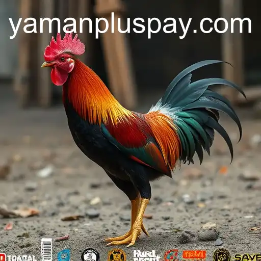 Exploring the Evolution of Sabong Games: Tradition Meets Modernity